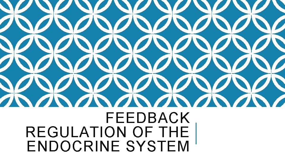 FEEDBACK REGULATION OF THE ENDOCRINE SYSTEM 