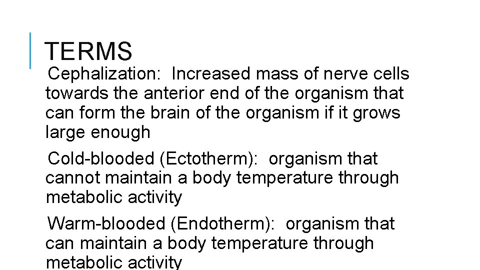 TERMS Cephalization: Increased mass of nerve cells towards the anterior end of the organism