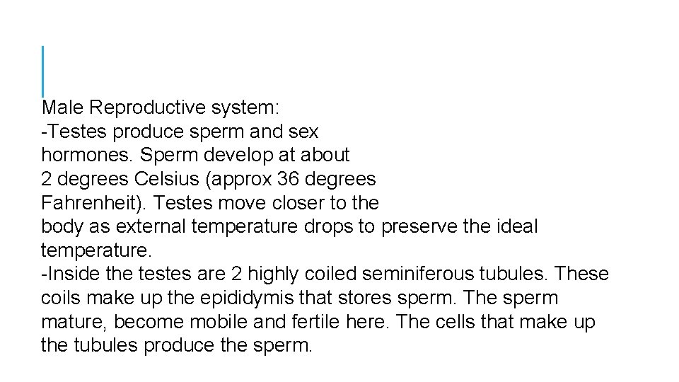Male Reproductive system: -Testes produce sperm and sex hormones. Sperm develop at about 2
