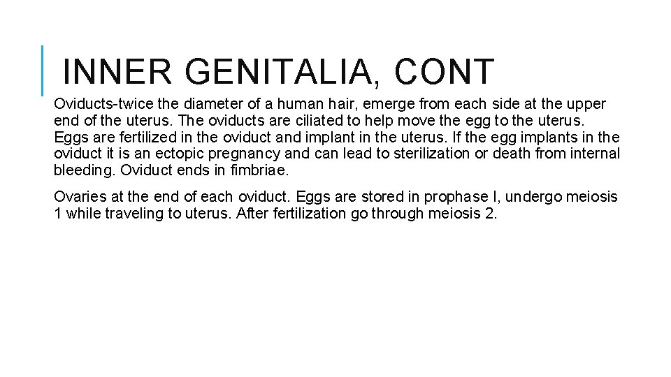 INNER GENITALIA, CONT Oviducts-twice the diameter of a human hair, emerge from each side