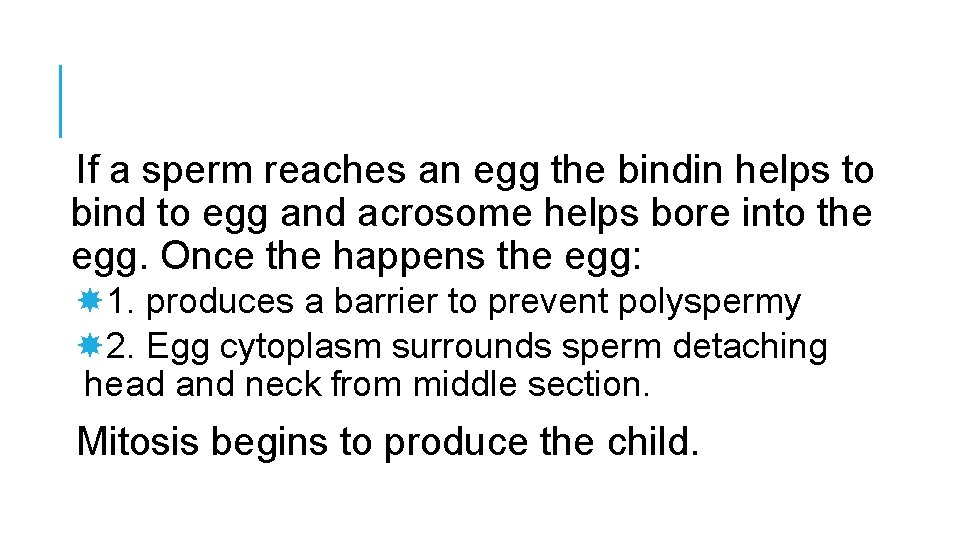 If a sperm reaches an egg the bindin helps to bind to egg and