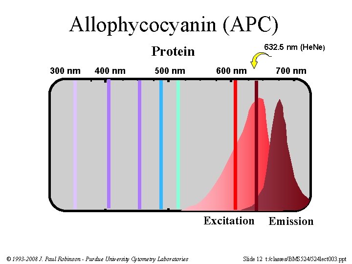 Allophycocyanin (APC) 632. 5 nm (He. Ne) Protein 300 nm 400 nm 500 nm