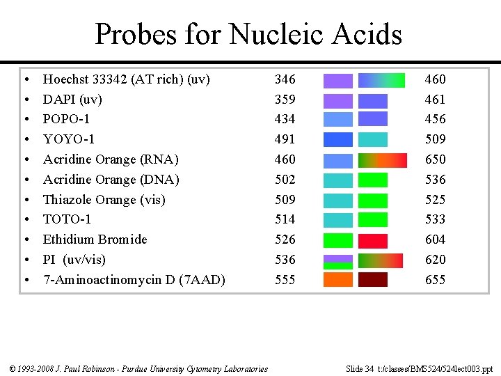 Probes for Nucleic Acids • • • Hoechst 33342 (AT rich) (uv) DAPI (uv)