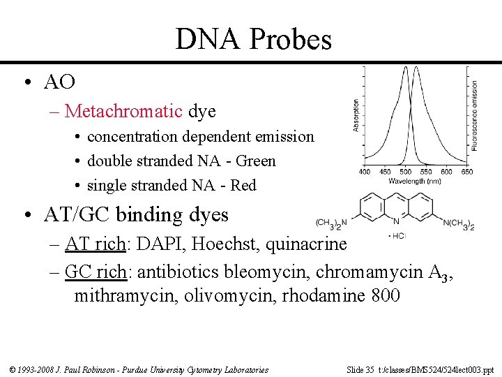 DNA Probes • AO – Metachromatic dye • concentration dependent emission • double stranded