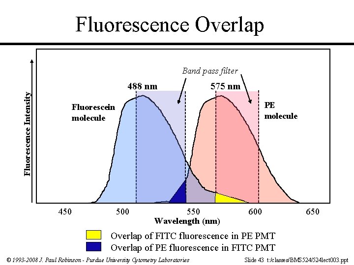 Fluorescence Overlap Band pass filter Fluorescence Intensity 488 nm 575 nm PE molecule Fluorescein
