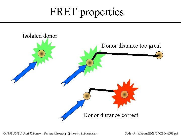 FRET properties Isolated donor Donor distance too great Donor distance correct © 1993 -2008