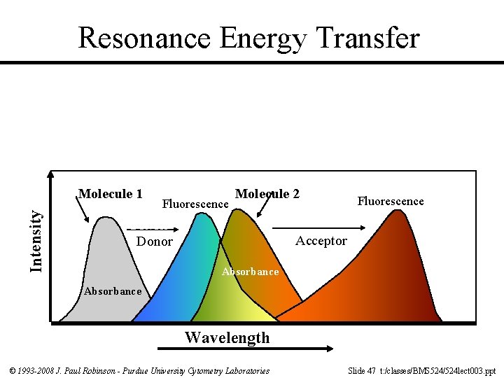 Resonance Energy Transfer ity ens Int Molecule 1 Molecule 2 Fluorescence ACCEPTOR DONOR Acceptor