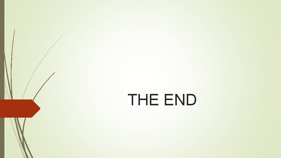 THE END 