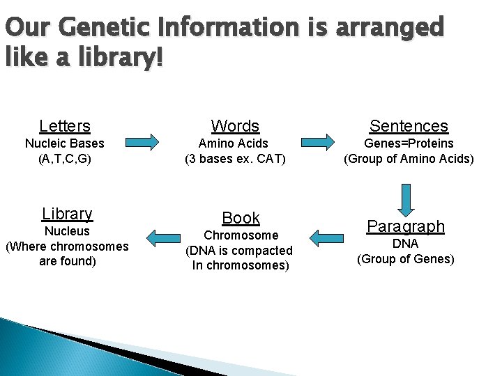 Our Genetic Information is arranged like a library! Letters Words Sentences Nucleic Bases (A,
