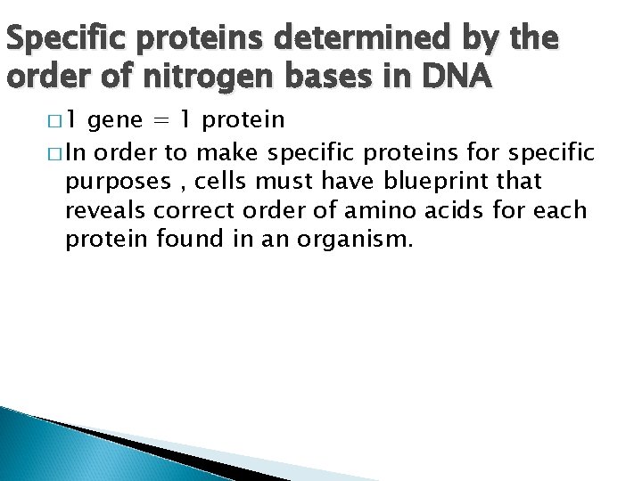 Specific proteins determined by the order of nitrogen bases in DNA � 1 gene