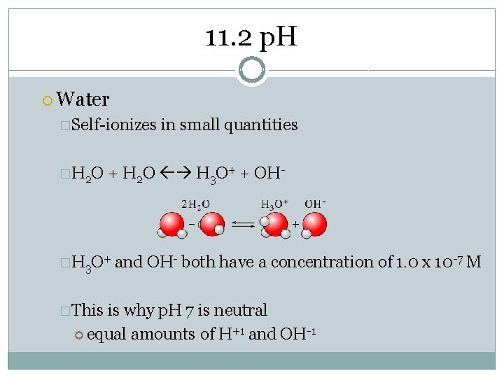 11. 2 p. H Water �Self-ionizes �H 2 O + H 2 O H