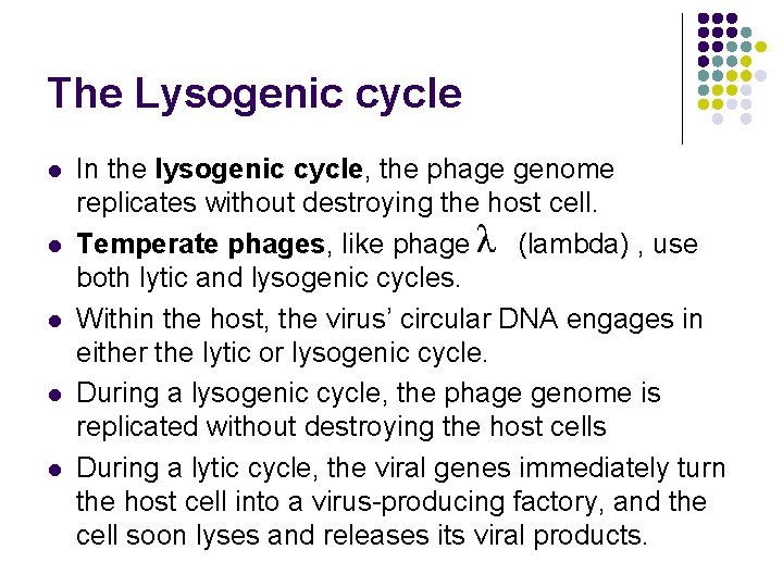 The Lysogenic cycle l l l In the lysogenic cycle, the phage genome replicates