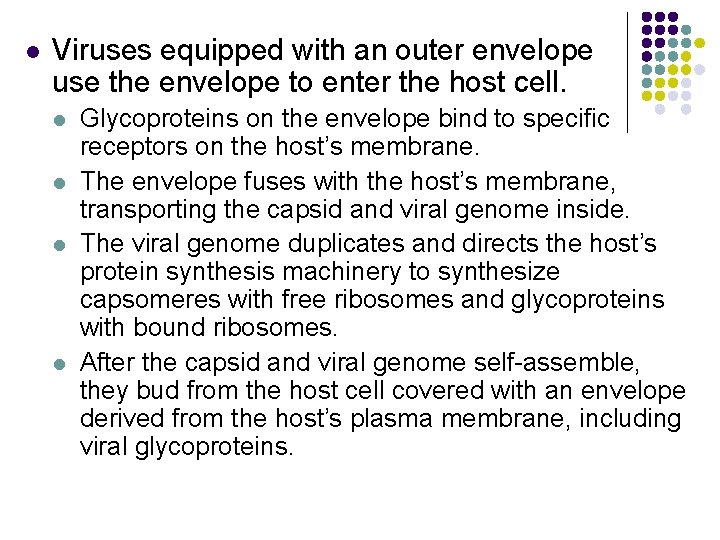 l Viruses equipped with an outer envelope use the envelope to enter the host