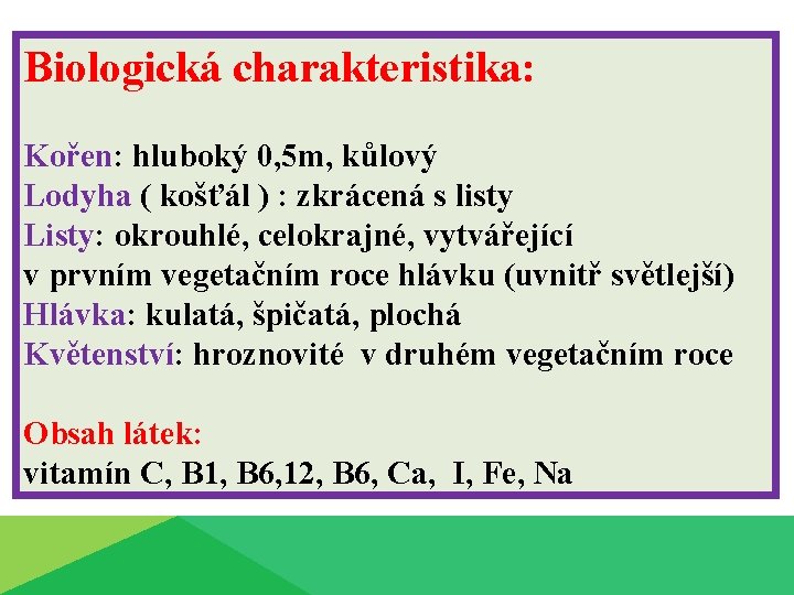 Biologická charakteristika: Kořen: hluboký 0, 5 m, kůlový Lodyha ( košťál ) : zkrácená