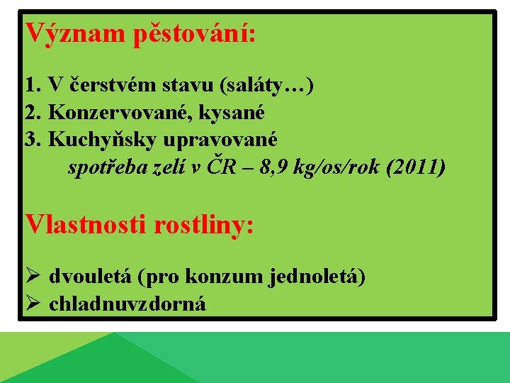 Význam pěstování: 1. V čerstvém stavu (saláty…) 2. Konzervované, kysané 3. Kuchyňsky upravované spotřeba