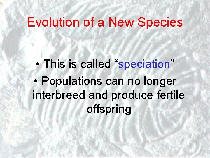 Evolution of a New Species • This is called “speciation” • Populations can no