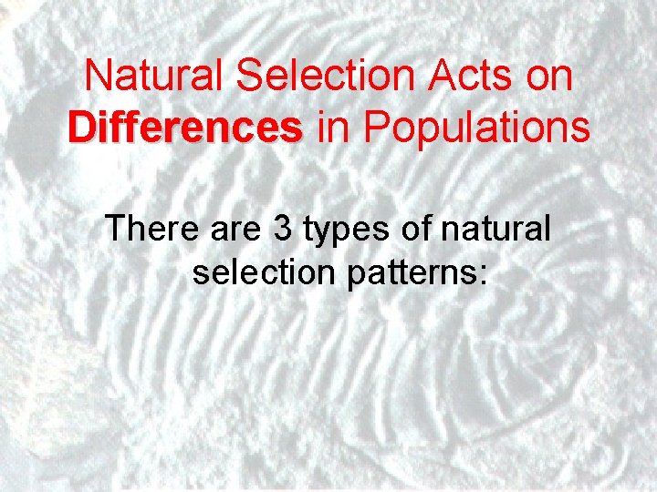 Natural Selection Acts on Differences in Populations There are 3 types of natural selection