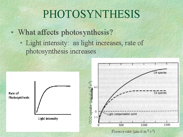 PHOTOSYNTHESIS • What affects photosynthesis? CO 2 uptake (mmol m-2 s-1) • Light intensity: