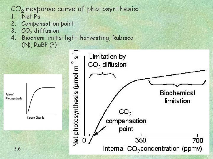 CO 2 response curve of photosynthesis: 1. 2. 3. 4. 5. 6 Net Ps