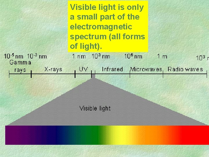 Visible light is only a small part of the electromagnetic spectrum (all forms of