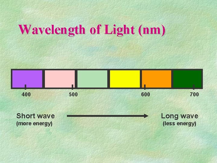 Wavelength of Light (nm) 400 500 600 700 Short wave Long wave (more energy)