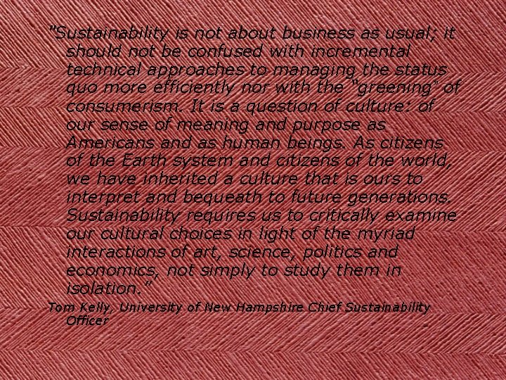 "Sustainability is not about business as usual; it should not be confused with incremental