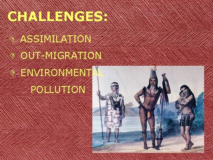 CHALLENGES: D ASSIMILATION D OUT-MIGRATION D ENVIRONMENTAL POLLUTION 