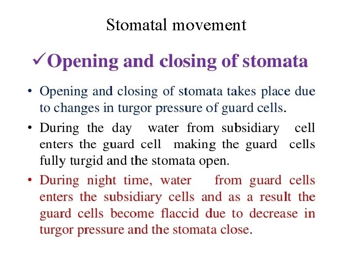 Stomatal movement 