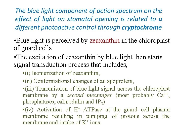The blue light component of action spectrum on the effect of light on stomatal