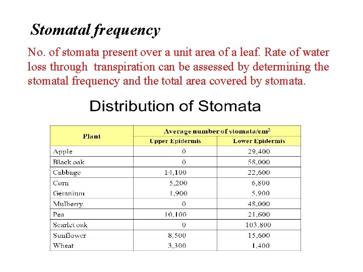 Stomatal frequency No. of stomata present over a unit area of a leaf. Rate