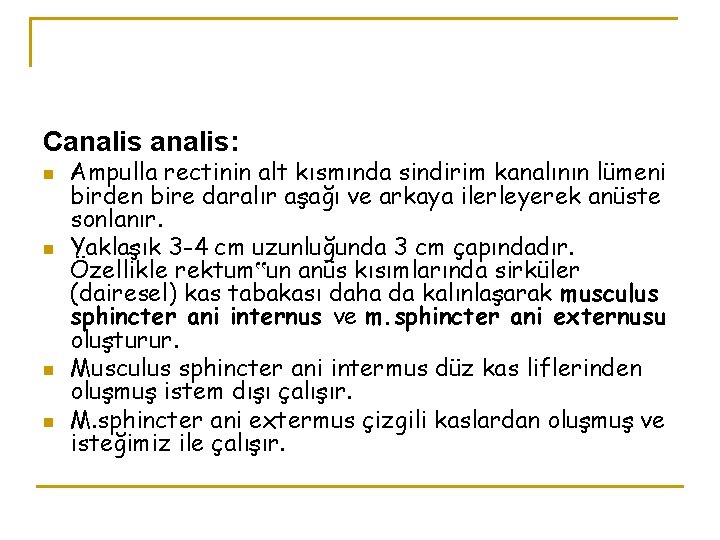 Canalis: n n Ampulla rectinin alt kısmında sindirim kanalının lümeni birden bire daralır aşağı