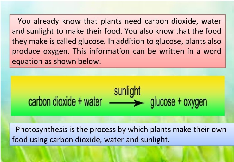 You already know that plants need carbon dioxide, water and sunlight to make their