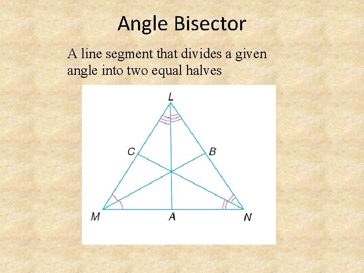 Angle Bisector A line segment that divides a given angle into two equal halves