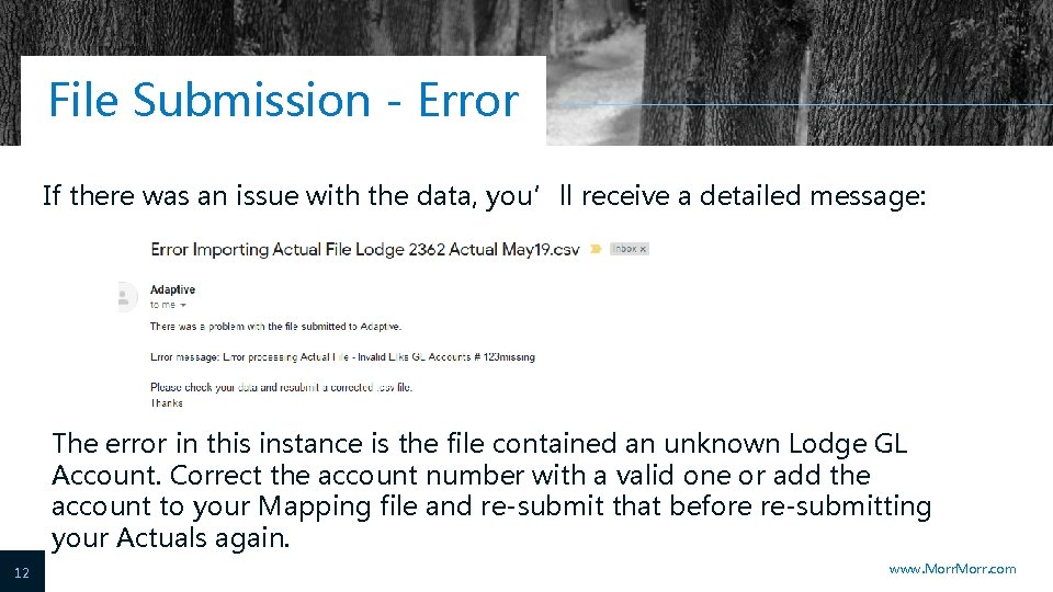 File Submission - Error If there was an issue with the data, you’ll receive