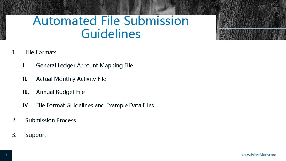 Automated File Submission Guidelines 1. 2 File Formats I. General Ledger Account Mapping File
