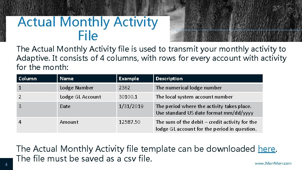 Actual Monthly Activity File The Actual Monthly Activity file is used to transmit your