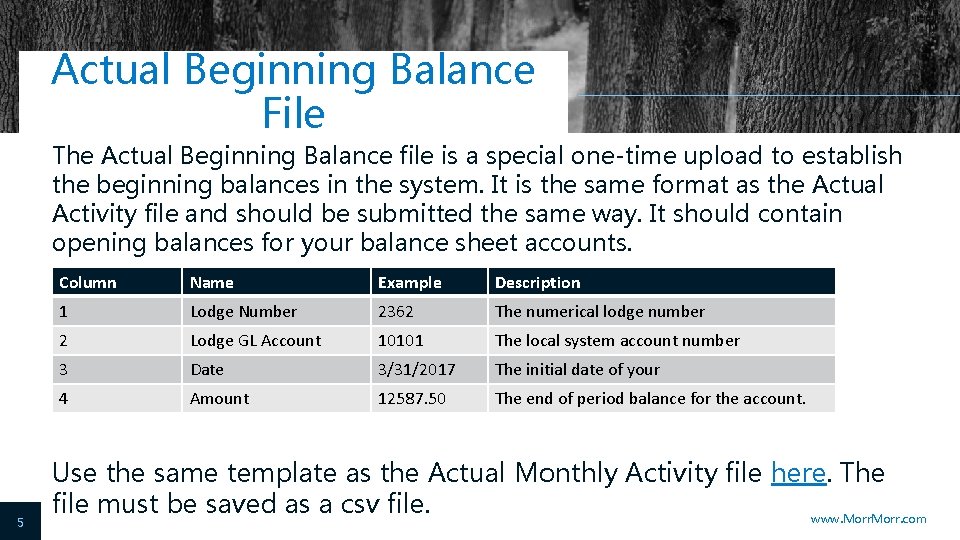 Actual Beginning Balance File The Actual Beginning Balance file is a special one-time upload