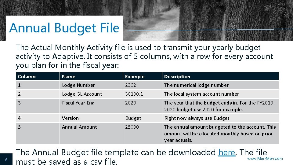 Annual Budget File The Actual Monthly Activity file is used to transmit your yearly