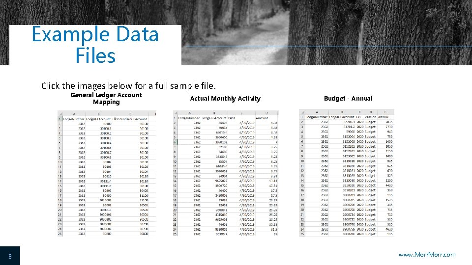 Example Data Files Click the images below for a full sample file. General Ledger