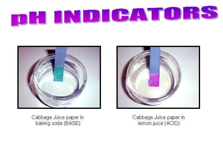 Cabbage Juice paper in baking soda (BASE) Cabbage Juice paper in lemon juice (ACID)