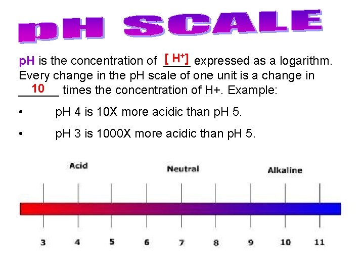 +] [ H p. H is the concentration of ____ expressed as a logarithm.