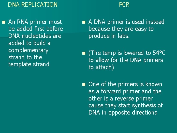 DNA REPLICATION n An RNA primer must be added first before DNA nucleotides are