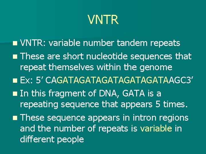 VNTR n VNTR: variable number tandem repeats n These are short nucleotide sequences that