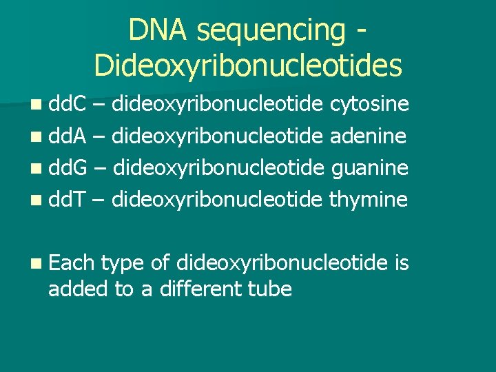 DNA sequencing Dideoxyribonucleotides n dd. C – dideoxyribonucleotide cytosine n dd. A – dideoxyribonucleotide