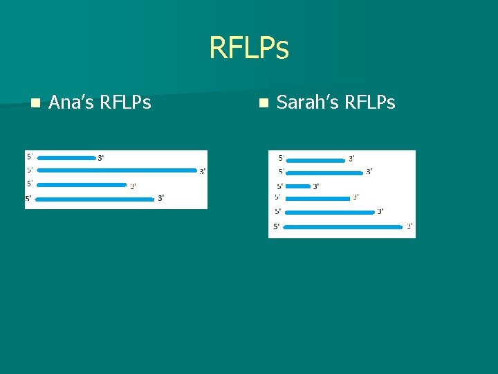 RFLPs n Ana’s RFLPs n Sarah’s RFLPs 