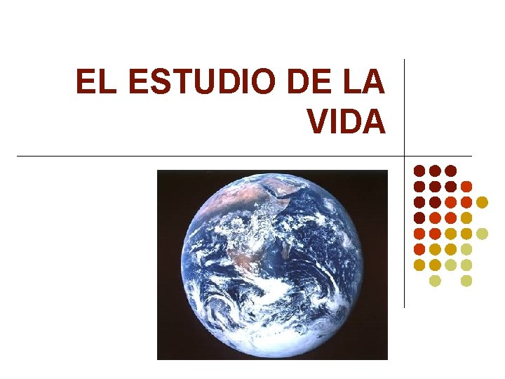 EL ESTUDIO DE LA VIDA 