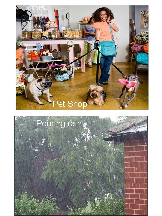 Pet Shop Pouring rain 