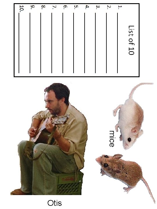 mice Otis 