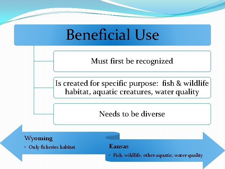 Beneficial Use Must first be recognized Is created for specific purpose: fish & wildlife