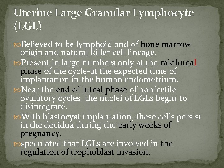 Uterine Large Granular Lymphocyte (LGL) Believed to be lymphoid and of bone marrow origin